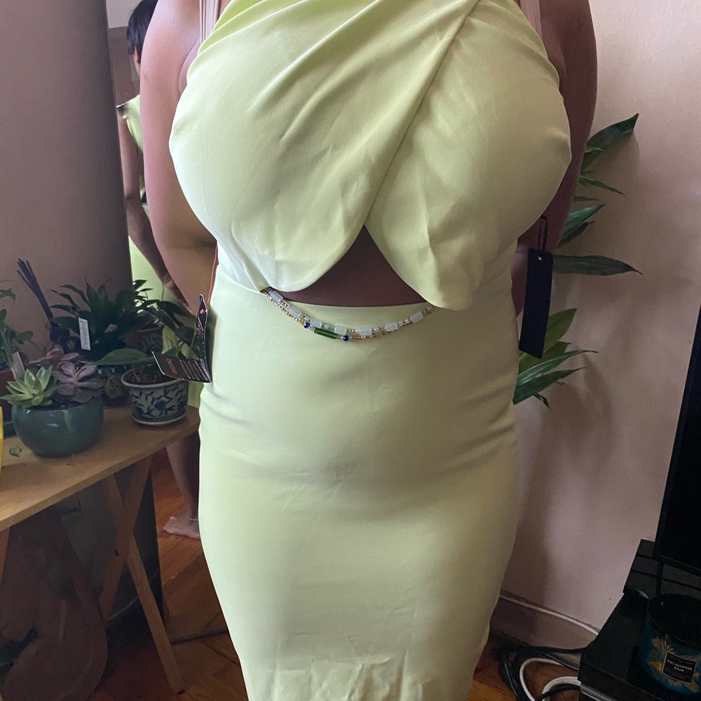 NWT BEBE dress